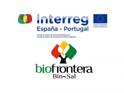 Biofrontera Biofrontera